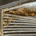 Do You Really Need an Air Filter? A Comprehensive Guide