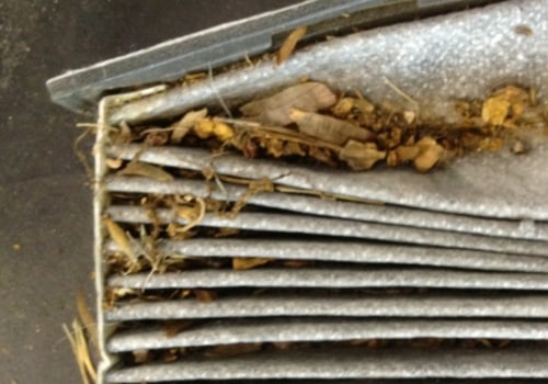 Do You Really Need an Air Filter? A Comprehensive Guide
